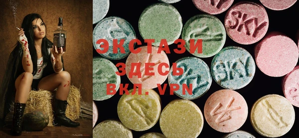 ECSTASY Богданович